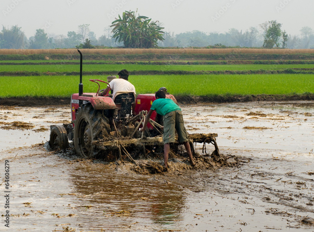 Obraz premium Tractor plowing a rice field in Chitvan, Nepal