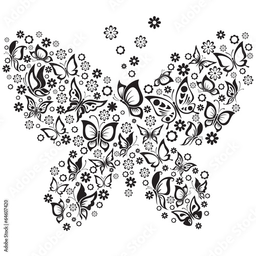 Vector Illustration of  black and white butterflies