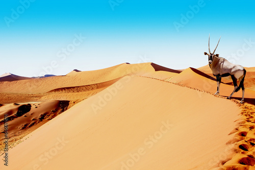 Fotografía sossusvlei dunes oryx