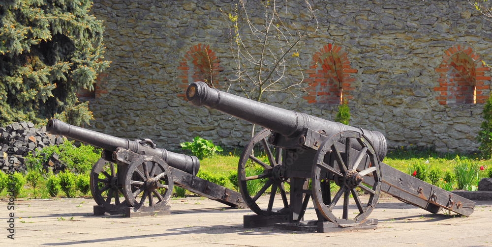 Cannons of the castle