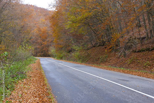 empty road in autumn, Slovakia