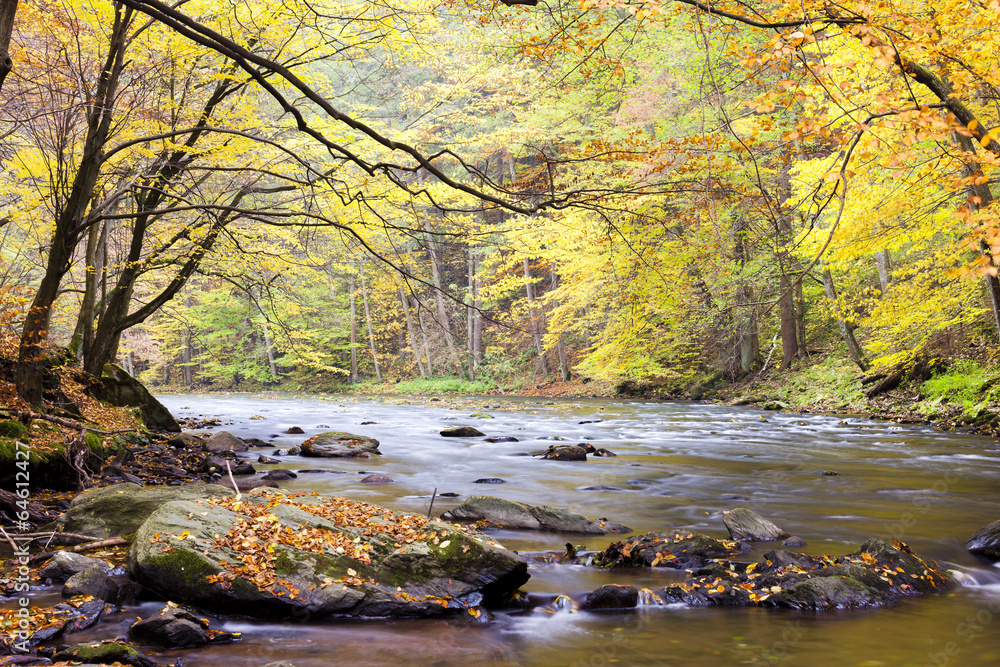 Metuje river in autumn, Czech Republic Metuje river in autumn, Czech Republic