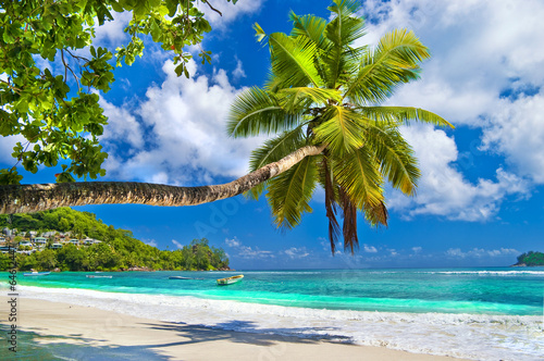 idyllic tropical scenery - Seychelles