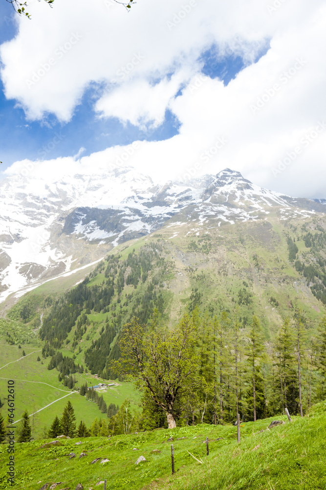 Obraz premium Upper Tauern National Park near Grossglockner, Carinthia and Eas