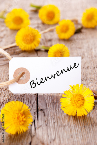 Yellow Flowers with Bienvenue