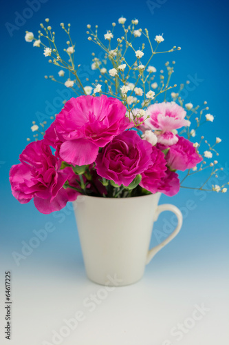 Wallpaper Mural カーネーション Torontodigital.ca