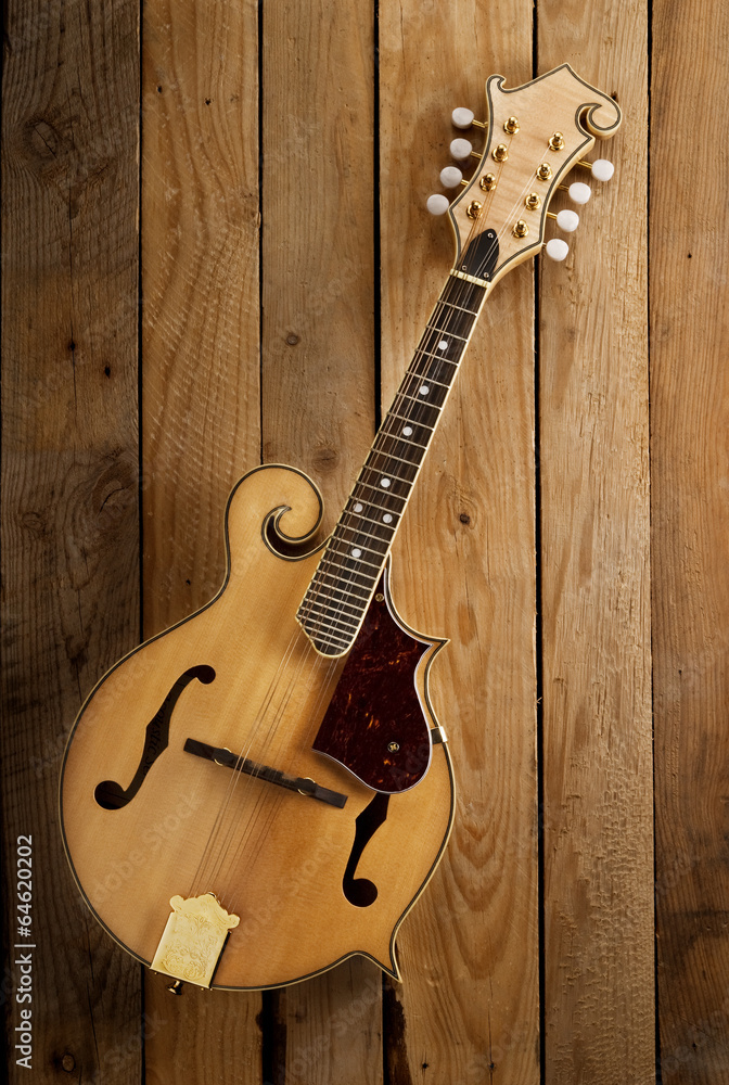 Naklejka premium mandolin on wooden slats background