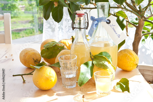 Obraz na plátne Hausgemachter Limoncello