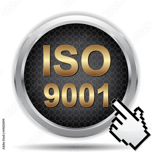 ISO 9001 ICON