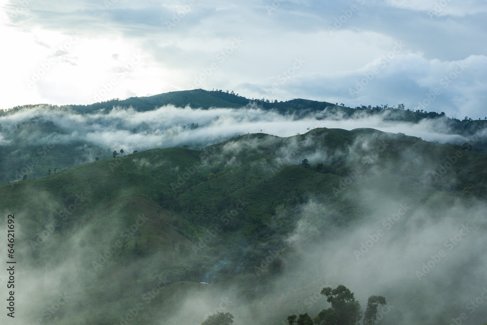 View of forest on Morning Mist at Tropical Mountain Range after