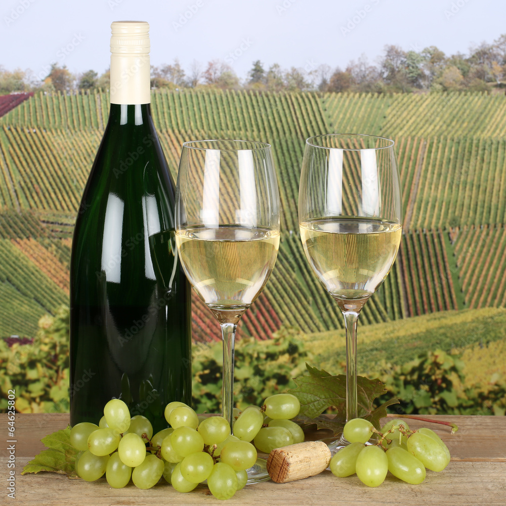 Weißwein in Gläsern in Weinbergen