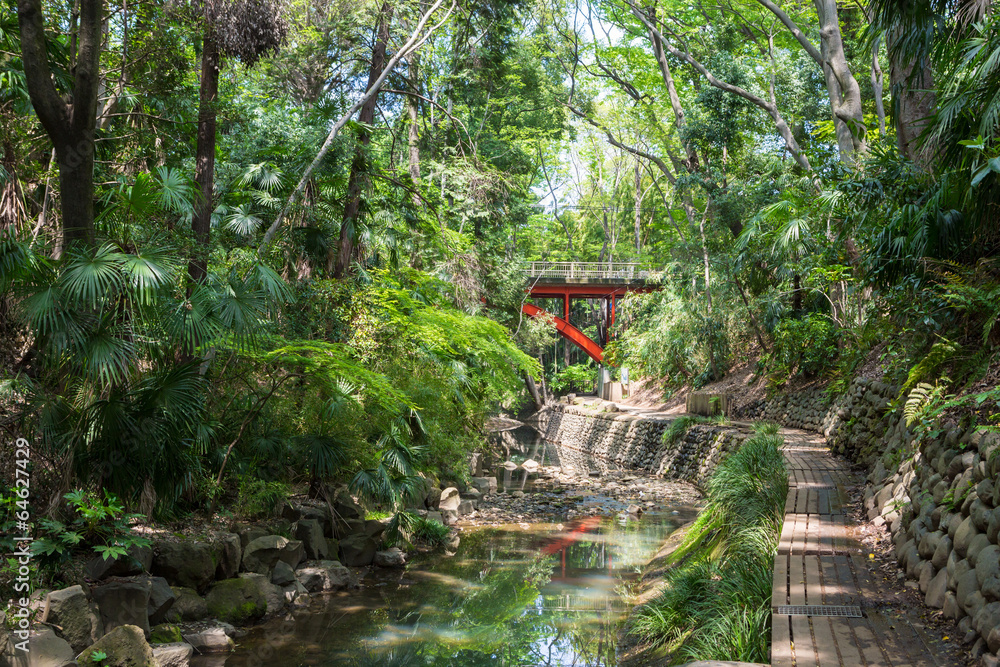 Obraz premium Dolina Todoroki i most golfowy