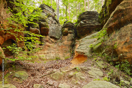 Old weathered rocks.The Hell Rocks near Nieklan, Poland.