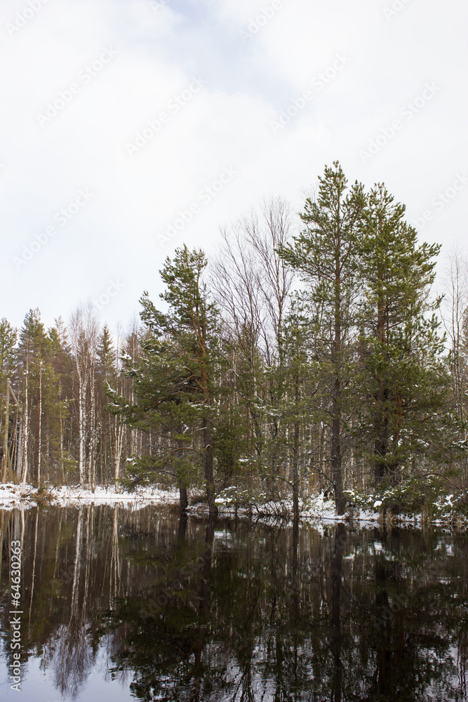 Obraz premium Весенний пейзаж. Река Мининка. Россия