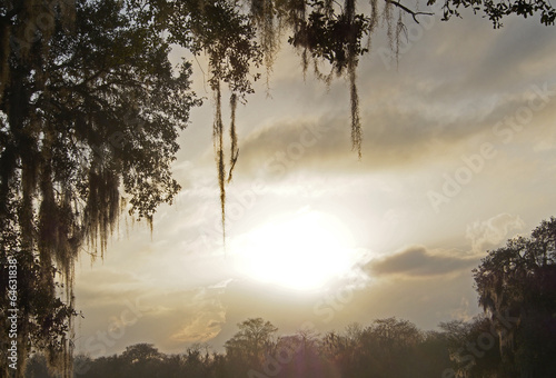 Sonnenuntergang in Florida photo