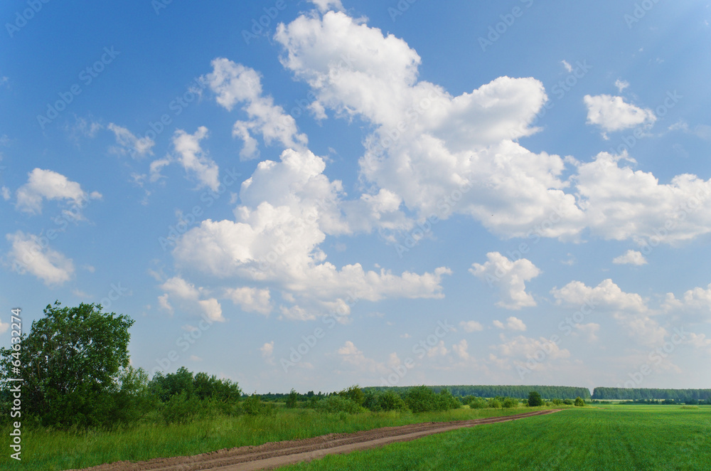 Summer landscape Summer landscape