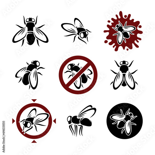 Housefly set. Vector