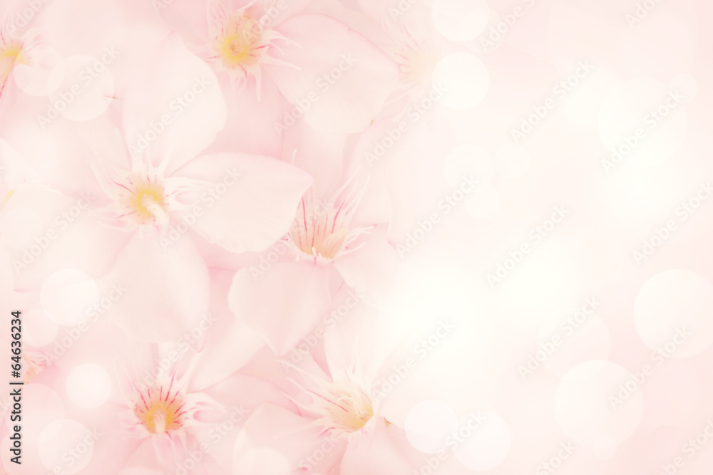 Fototapeta premium pink flower background