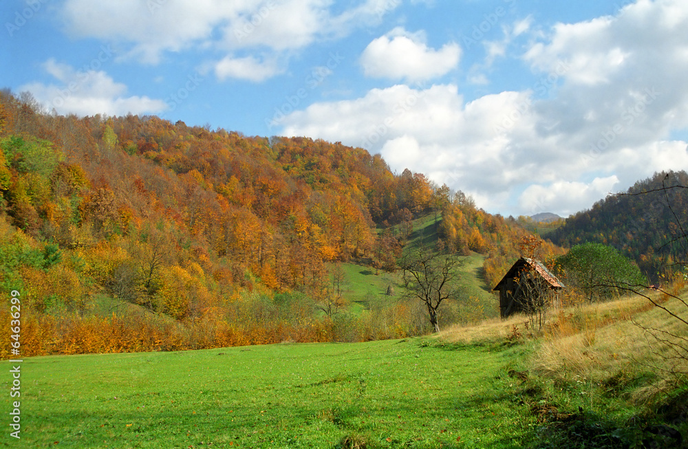 Autumn forest in the Carpathian Mountains, Romania Autumn forest in the Carpathian Mountains, Romania