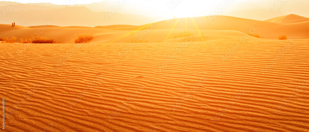 Sunset in desert - obrazy, fototapety, plakaty 