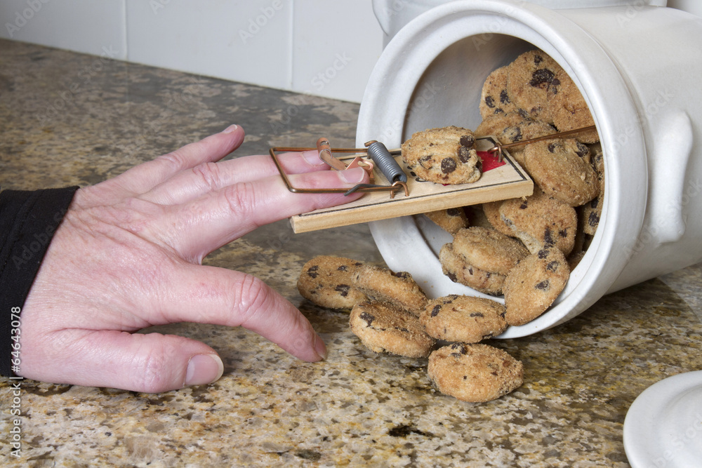 Valokuva Mousetrap in Cookie Jar