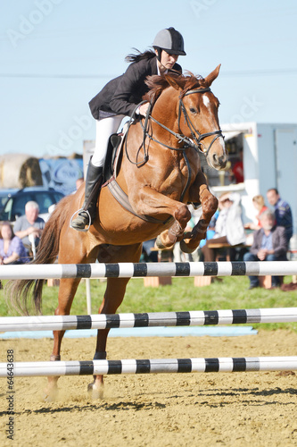 show jumping