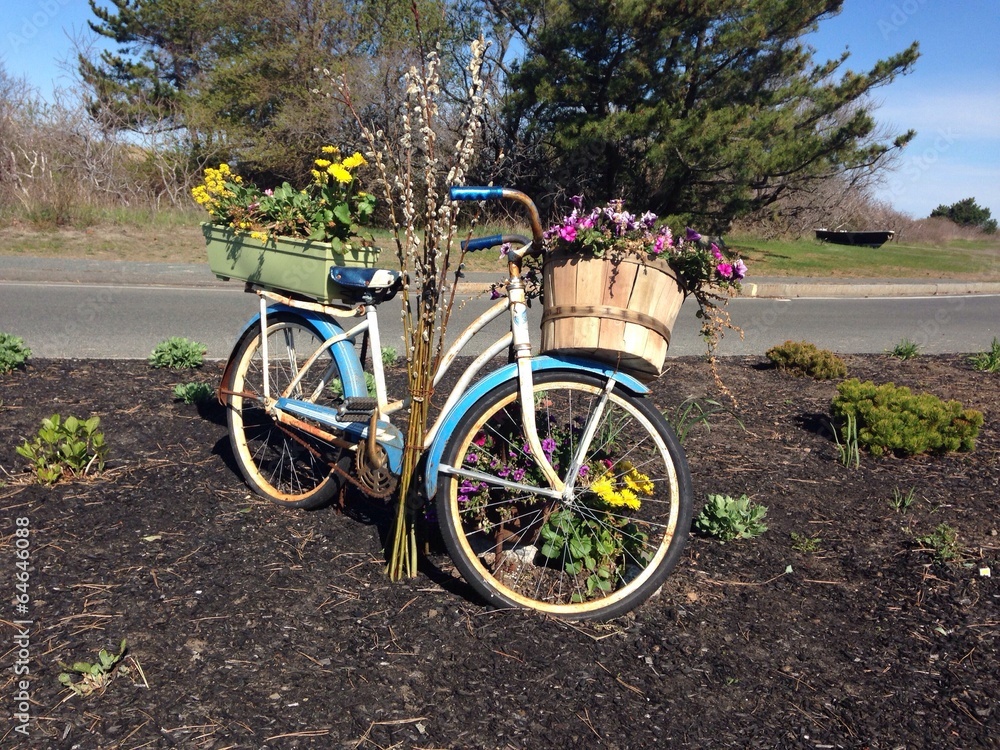 Bike flower pots in the garden