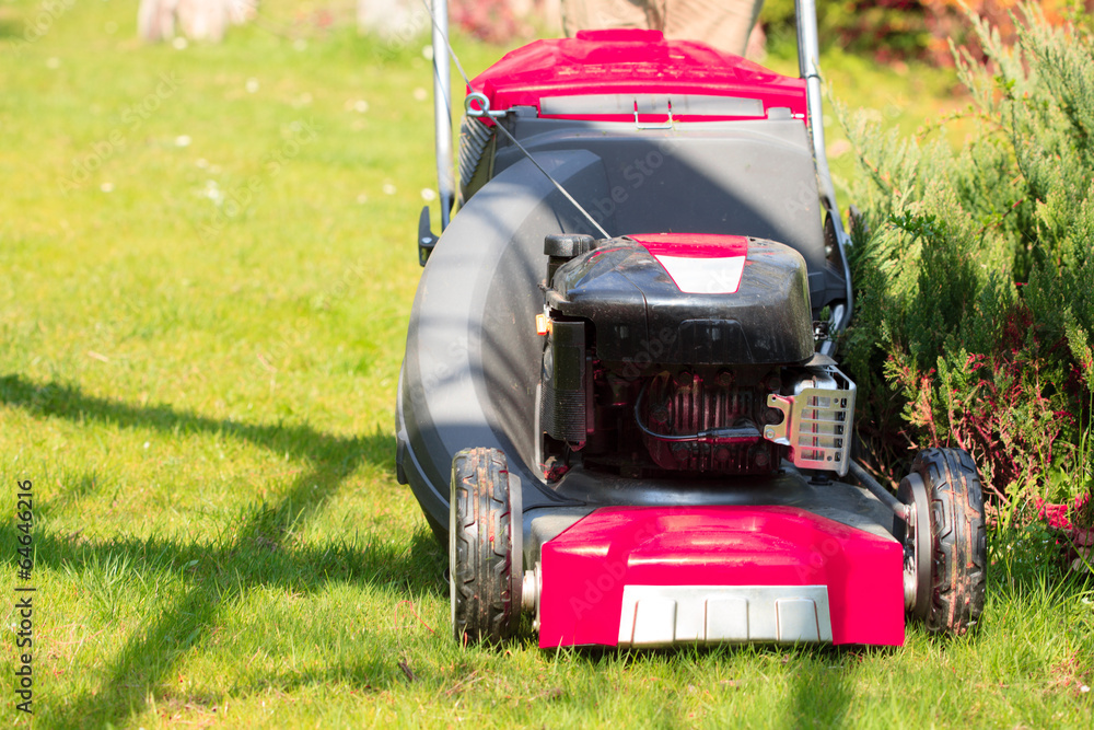 Obraz premium Gardening. Mowing green lawn with red lawnmower