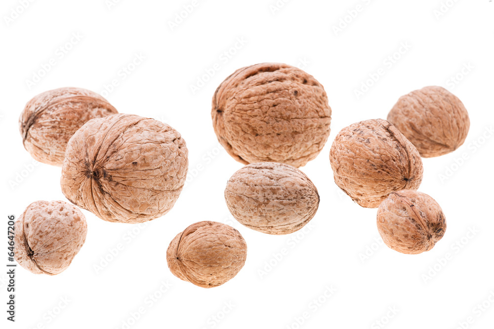 Walnut on white background. Close-up view. Walnut on white background. Close-up view.