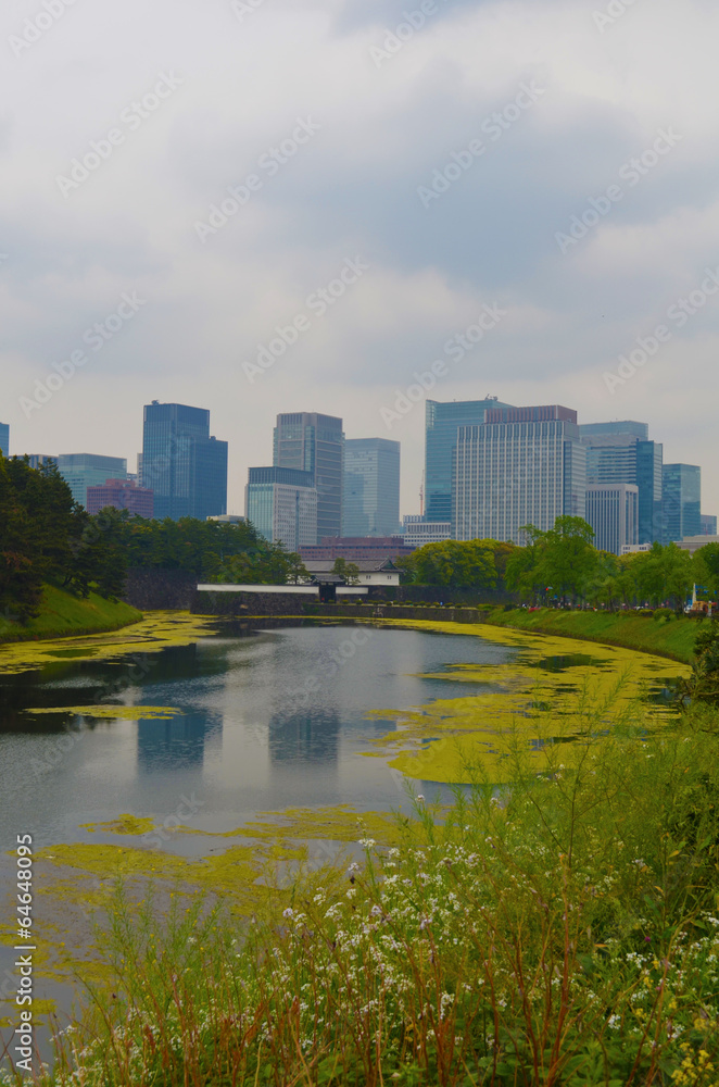 Ile d'immeuble Tokyo