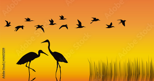 Storks in the middle of a reservoir on an orange background