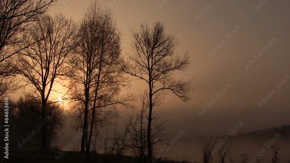 Fog and sun in wood. Beautiful mystical landscape. Time lapse Fog and sun in wood. Beautiful mystical landscape. Time lapse
