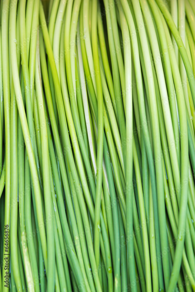 Bunch of fresh green onions Bunch of fresh green onions