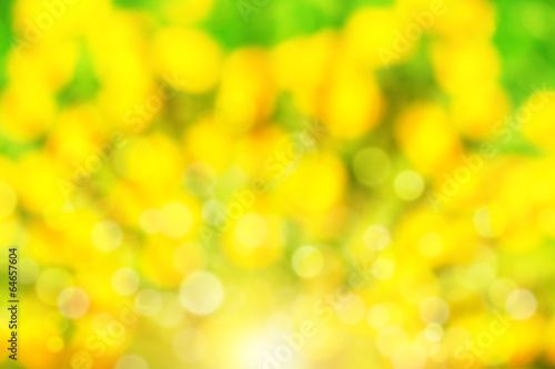 Abstract summer background with sunlight