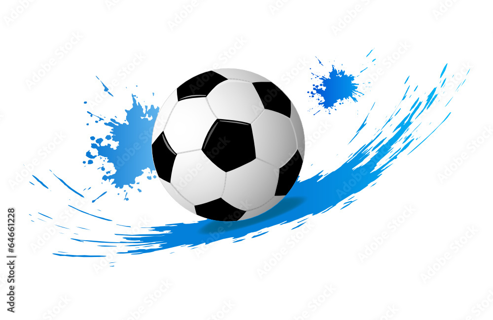 Fototapeta premium fussball - soccer - 155