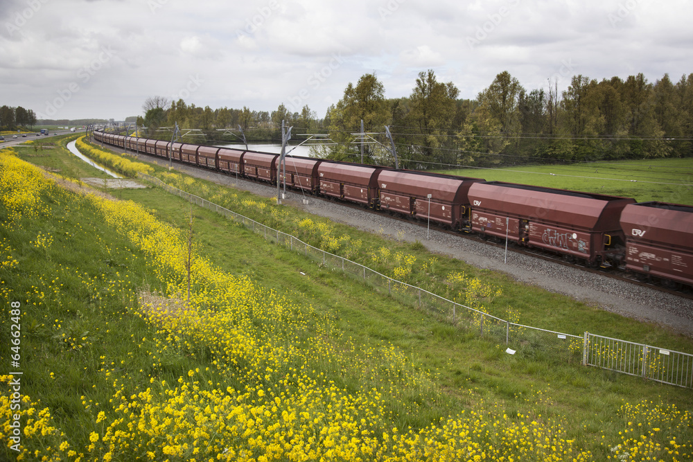 Obraz premium freight train in the Netherlands