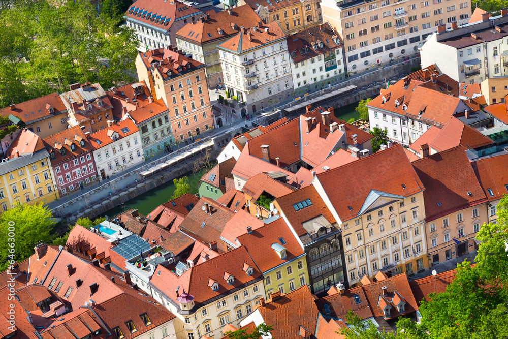 Obraz premium Panorama of Ljubljana, Slovenia, Europe.