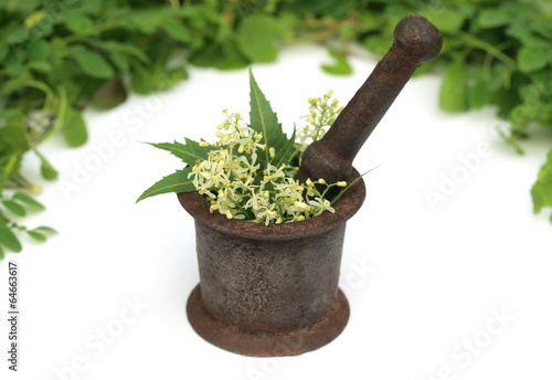 Medicinal herbs on a vintage mortar
