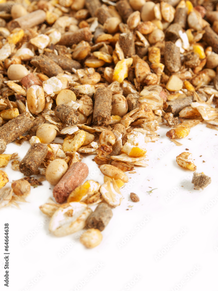 high quality sportive  muesli background. for horse. close up