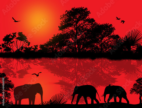 Elephants silhouette in africa