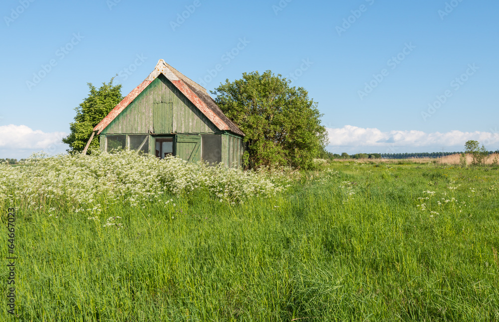 Obraz premium Old wooden barn overgrown with weeds