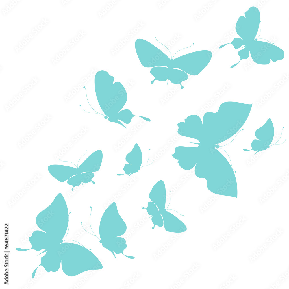 butterflies design butterflies design