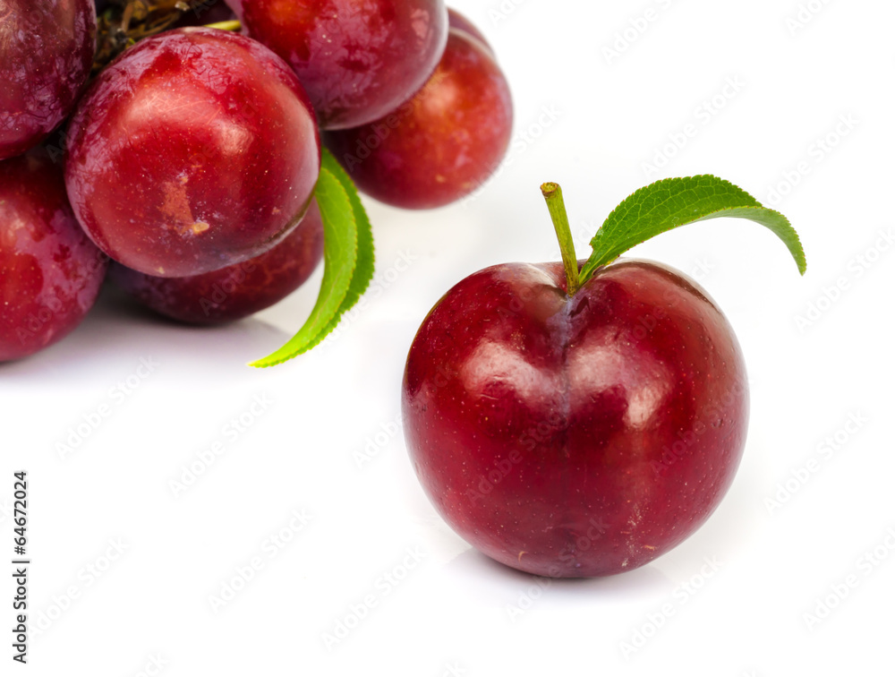 Obraz premium Ripe plums