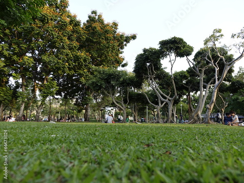 Happy Grassland photo