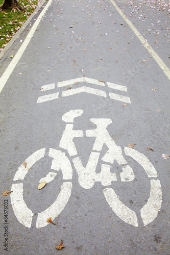 Fototapeta Naklejka Na Ścianę i Meble -  bicycle lane symbol on road in sun light