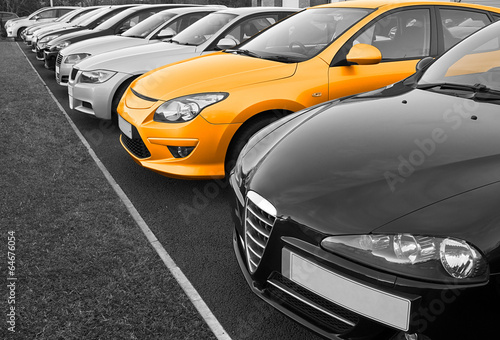 Perfect car selection © stocksolutions