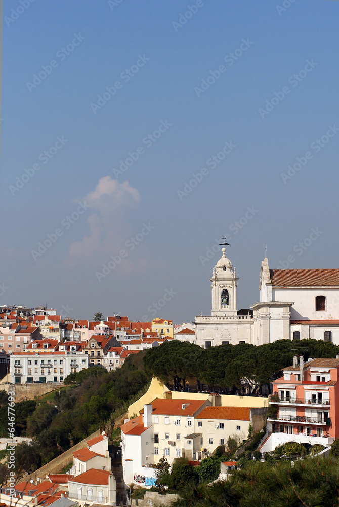 View on the roofs of the Lisbon city