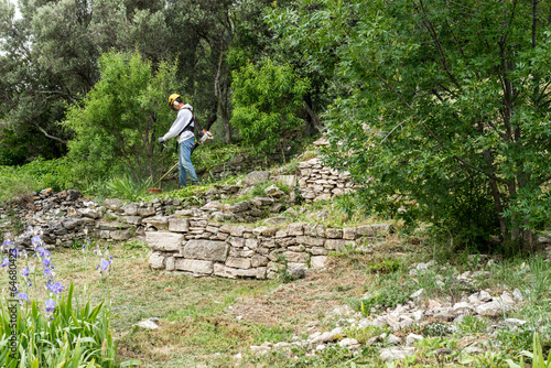 Débroussaillage photo