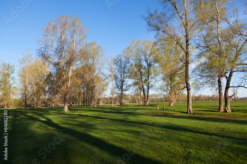 Sunny landscape of ural meadow