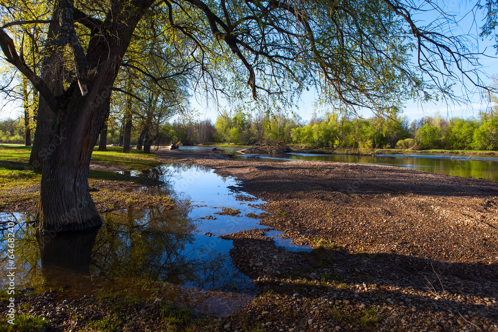 Sunny landscape of ural meadow Sunny landscape of ural meadow